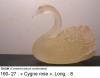 160.27.cygne rose copie.JPG